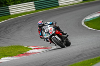 Lower Group Multicolour Bikes